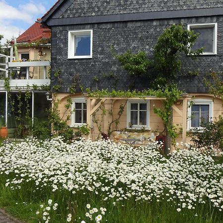 Privatzimmer Lehmann Kottmar Экстерьер фото