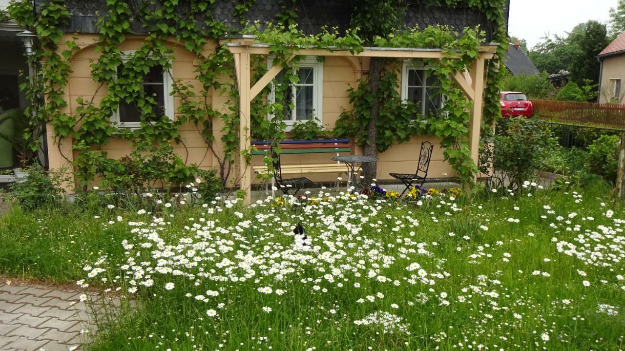 Privatzimmer Lehmann Kottmar Экстерьер фото